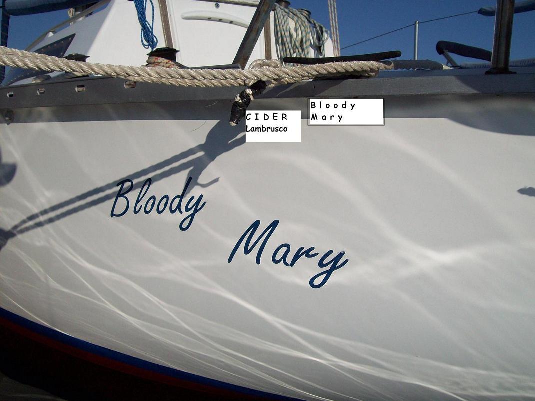 [Immagine: 2011110173057_Bloody Mary.JPG]